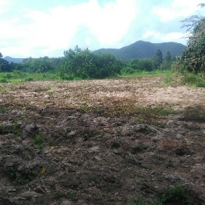 Code KRB8181 Large land near the city for sale