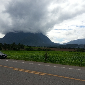 Code 1252 Land with natural view, Chiang Dao