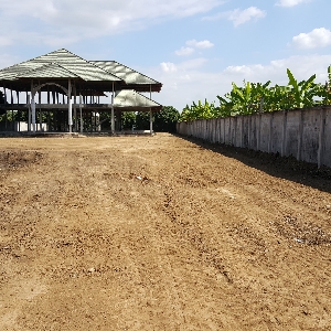 Code 774 Land with a construction and longan field for sale