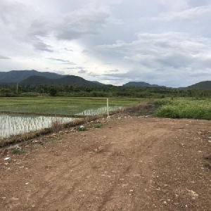 Code KRB8588 Beautiful land with stunning mountain and rice farm view 