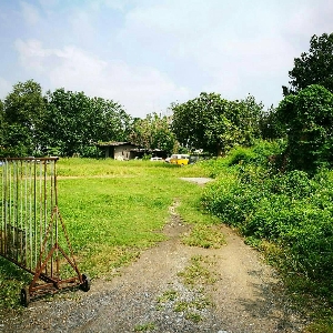 Code KRB8297 Land near Mahidol road and Ping river