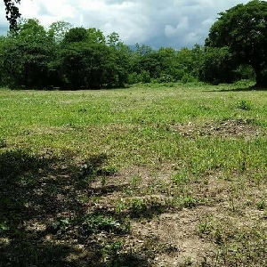 Code KRB8148 Nice land in the middle of the city for sale