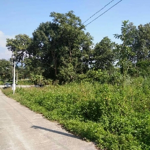 code KRB8403 Empty land for sale in Mae Rim