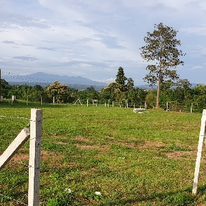 Code KRB9154 Nice land for sale, Mae Tang