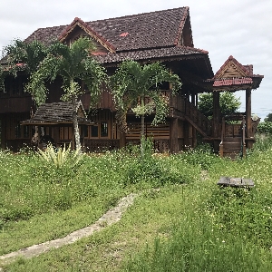 Code 1096 Thai-style house for rent