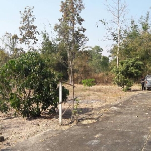 Code 1312 Land sold with cheapest price