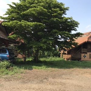 code KRB9414 Land including teak wooden house near Mae Ping River