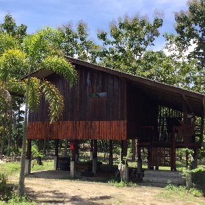 Code KRB9211 Teak plantation with 2 houses among mountains