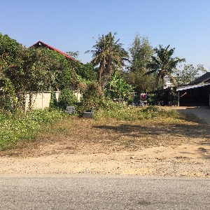 Code 551 Land on Maejo Road
